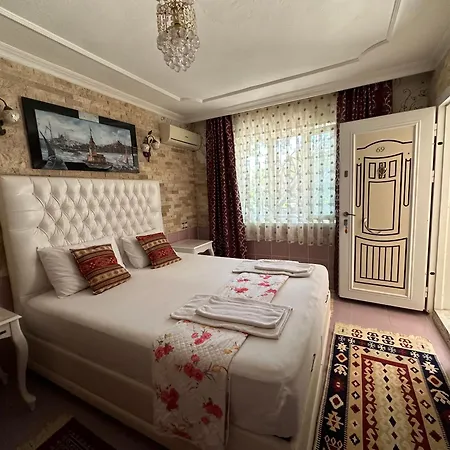 신터 테라스 하우스