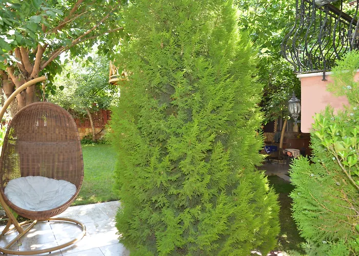 Sinter Terasse House